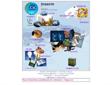 Tablet Screenshot of cicgrenoble.inserm.fr